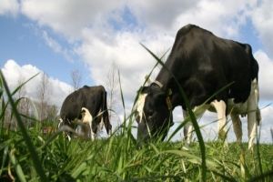 Agricultural Contact Days 2015
